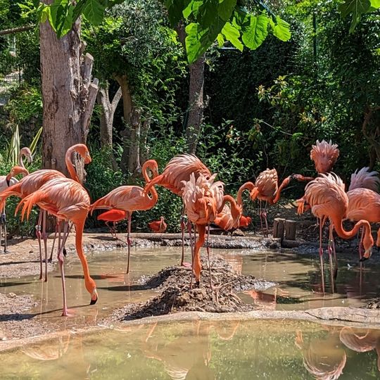 Exotic Garden and Zoo of Sanary-Bandol