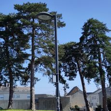 Arbre
