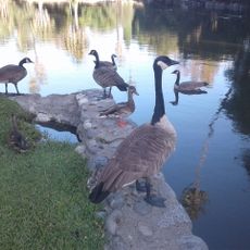 Baldwin Lake
