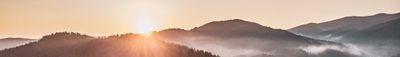 Panoramic View 0