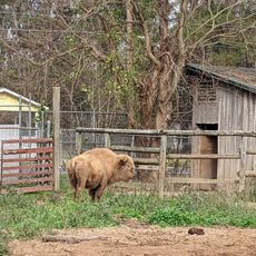 Louisiana Purchase Gardens and Zoo