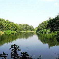 Foy's Lake