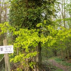 Jagsttal bei Schöntal und Klosterwald