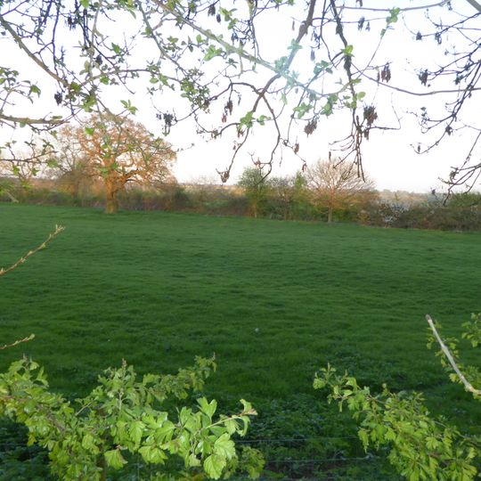 Grafton Regis Meadow