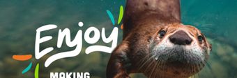 Toledo Zoo Profile Cover