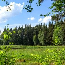 Pennewitzer Teiche - Unteres Wohlrosetal