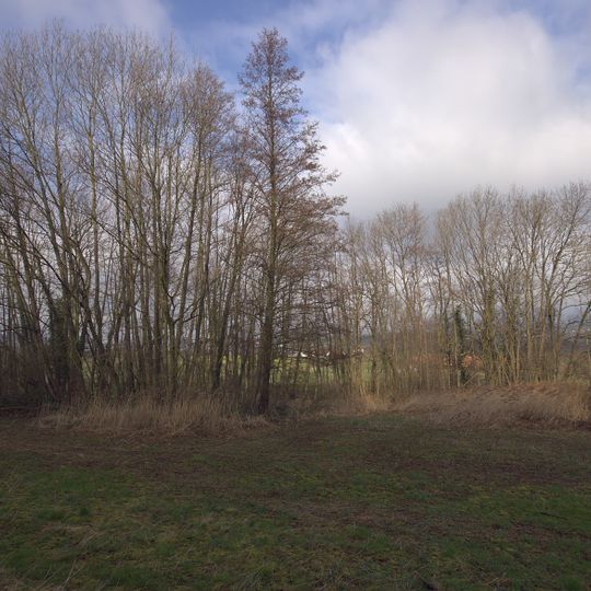 Quellwiese und Gehölz