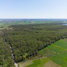 Rezerwat przyrody Olszyny Rumockie