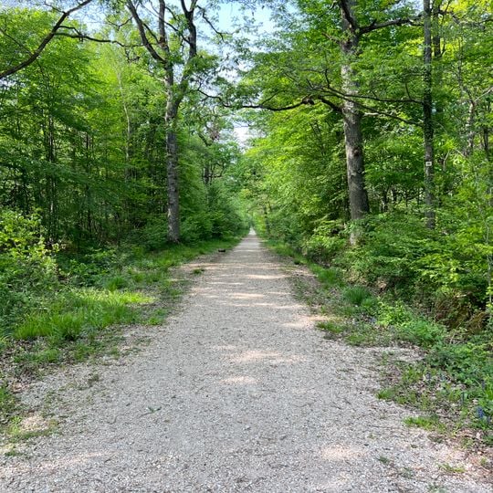 Route de la Louvetière