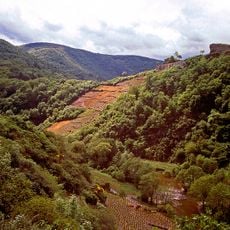 Red Wine Trail