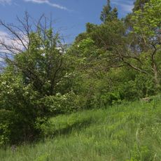 Hlaváčková stráň