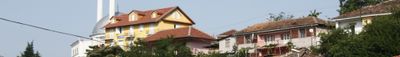 Panoramic View 2