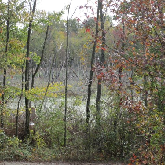 Patoka River National Wildlife Refuge and Management Area