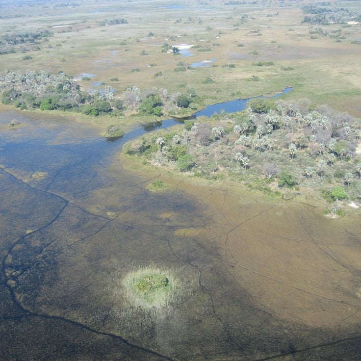 Delta Okawango