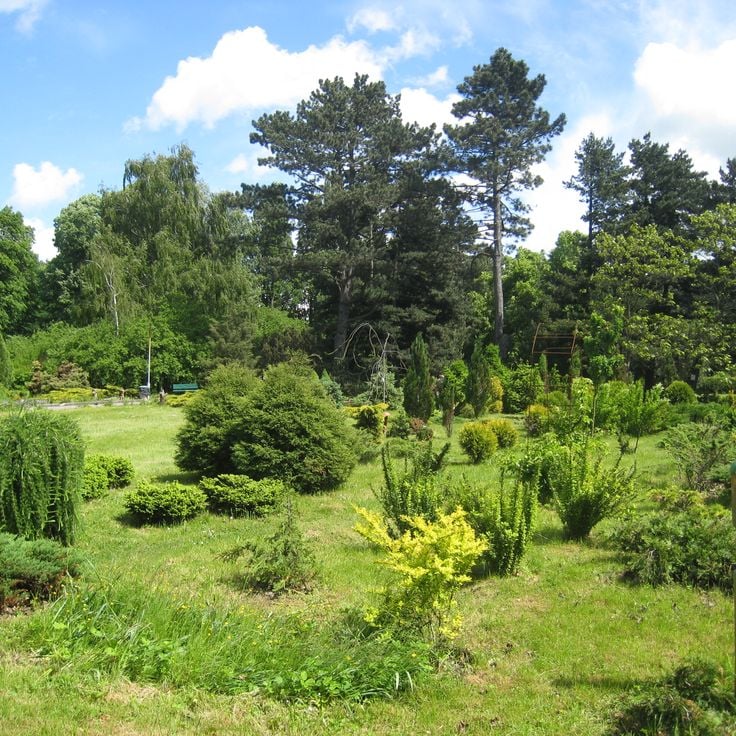 Giardino Botanico