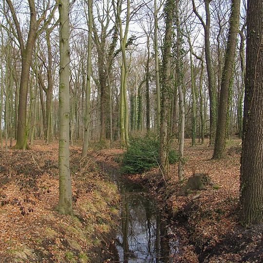 In den Kämpen, Im Mersche und Langerner Hufeisen