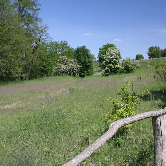 Niedermoorwiesen am Tegeler Fließ