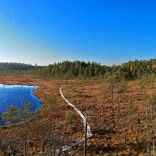 Parco nazionale di Leivonmäki