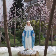 Madonna Immacolata