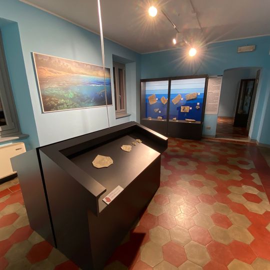 Civic Museum of Fossils of Besano