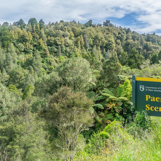Paemako Scenic Reserve