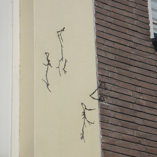 Van Vlinderbuurt tot Takkenwijk