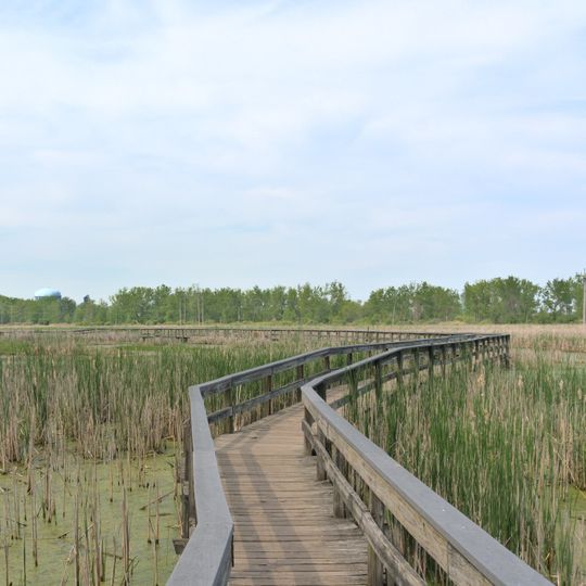 Tifft Nature Preserve