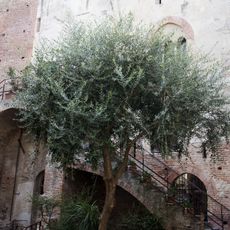 Palazzo vecchio del comune