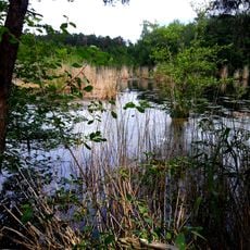 Rallenteich von Eppertshausen