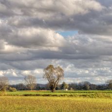 Großes Michelried bei Erfelden