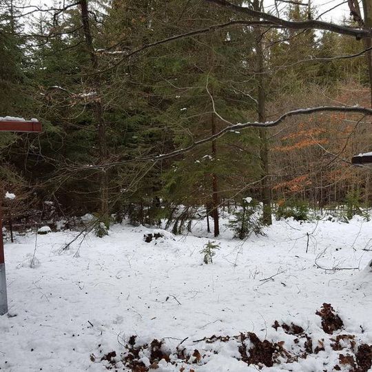 Kříž pod vrchem Poddubí u Rakové