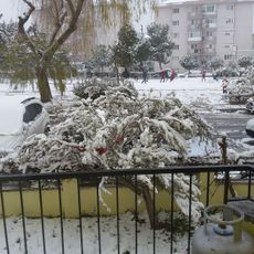 Uğur Mumcu Park
