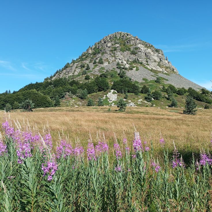 Mont Gerbier de Jonc
