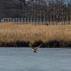 Stocksee und Umgebung
