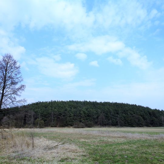 Rezerwat przyrody Wólczańska Góra