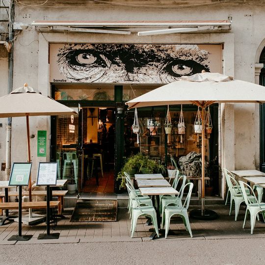 Cafe Bonobo