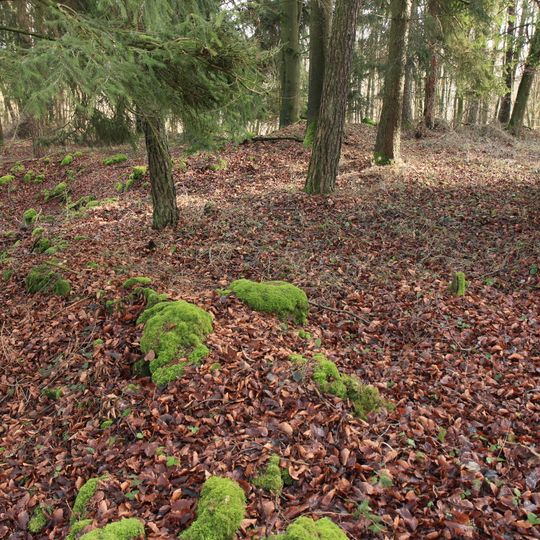 Burgstall Oedenthurn