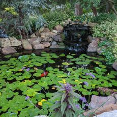 Cann Memorial Botanical Gardens