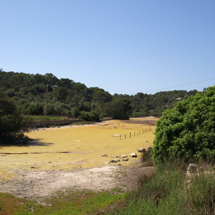 Mondragó naturpark