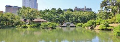 파노라마 뷰 2