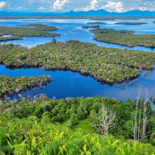 Parco nazionale di Danau Sentarum