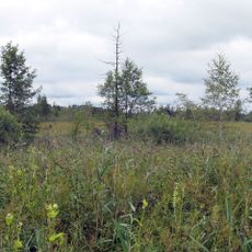 Attenloher Filzen und Mariensteiner Moore