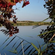 Ostruženské rybníky