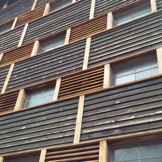 Magazyn główny szyszek