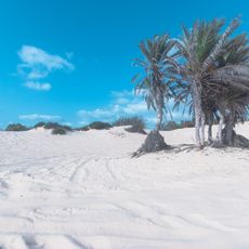 Nitzanim Nature Reserve