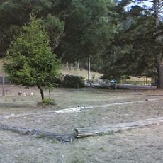 San Pedro y San Pablo Asistencia