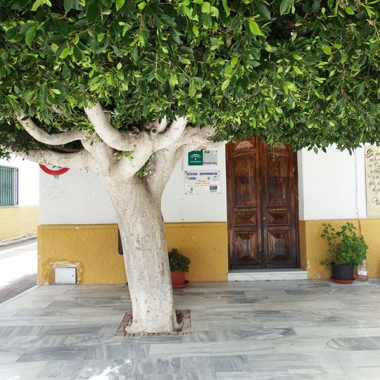 Biblioteca Pública Municipal de Purchena - Gustavo Villapalos