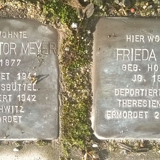 Stolperstein dedicated to Frieda Lewy