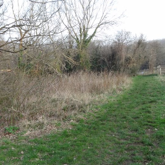 Foxley Wood
