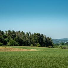 Heide im Gewann Im Steidach